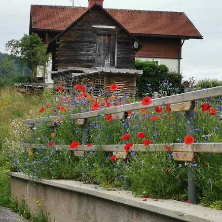 Ferienhaus Raumberg Kültér fotó